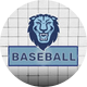 Columbia Baseball (Official)