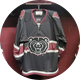 D3 MO State Ice Bears
