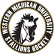 WMU D3 Stallions Club Hockey