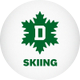 Dartmouth Skiing