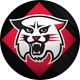 Davidson Athletics