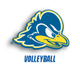 Delaware Volleyball