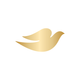 Dove Beauty & Personal Care