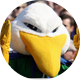 Endicott Athletics