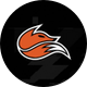 Echo Fox