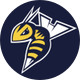 ed_stingers