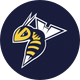 Edmonton Stingers Basketball