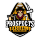 Edmonton Prospects