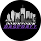 Emerson College Baseball