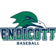 Endicott Baseball
