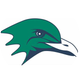 Endicott Men's Volleyball