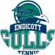 Endicott Tennis