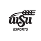 Wichita State Esports