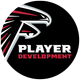 FalconsPlayerDevelopment