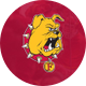 Ferris State Hockey