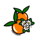 flavar.co