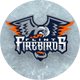 Flint Firebirds