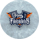 Flint Firebirds