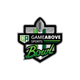 GameAbove Sports Bowl