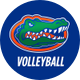 Gators Volleyball