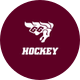 Gee-Gees Women’s Hockey | Hockey féminin