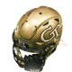 Georgia Tech Football