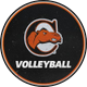 Campbell Volleyball