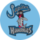 Jupiter Hammerheads