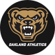 Golden Grizzlies