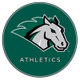 Stevenson University Athletics