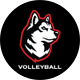 Northeastern Volleyball