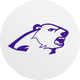 Austin Achieve Polar Bears