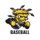 Wichita State Baseball