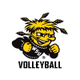 Wichita State Volleyball