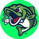 Gwinnett Stripers