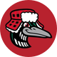 Great Lakes Loons
