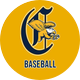 Canisius Baseball