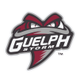 Guelph Storm