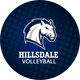 Hillsdale College Volleyball