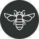 Hive&Colony