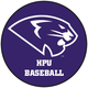 High Point University Baseball