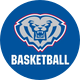 HSE Basketball
