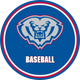 Hamilton Southeastern Baseball