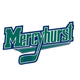 Mercyhurst Women’s Hockey