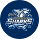 Wilmington Shaaaaks 🦈 (Sharks)