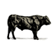 Fat Ox