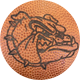 Jay M. Robinson Football