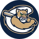 Kane County Cougars