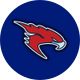 Kent Falcons