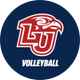 Liberty Volleyball